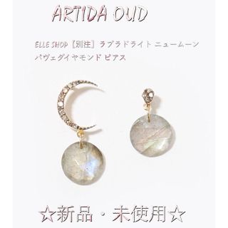 【別注】ラブラドライト ニュームーン パヴェダイヤモンド ピアス(ピアス)