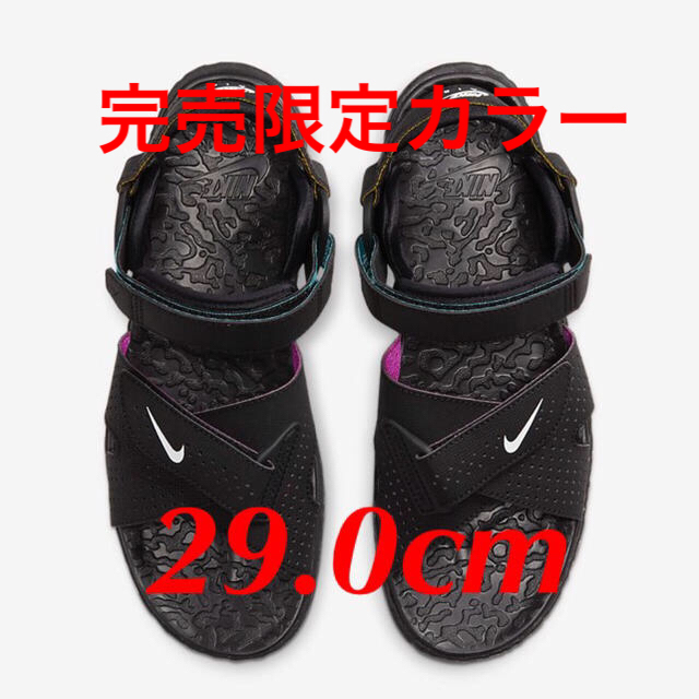 29 cm NIKE ACG デシューツサンダル