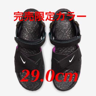 ナイキ(NIKE)の29 cm NIKE ACG デシューツ(サンダル)