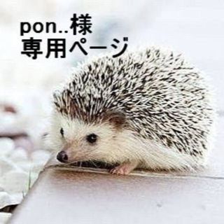「pon..様 専用ページ」(フットケア)