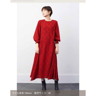 ビューティアンドユースユナイテッドアローズ(BEAUTY&YOUTH UNITED ARROWS)のフェリシモ　美術館　ワンピース(ロングワンピース/マキシワンピース)