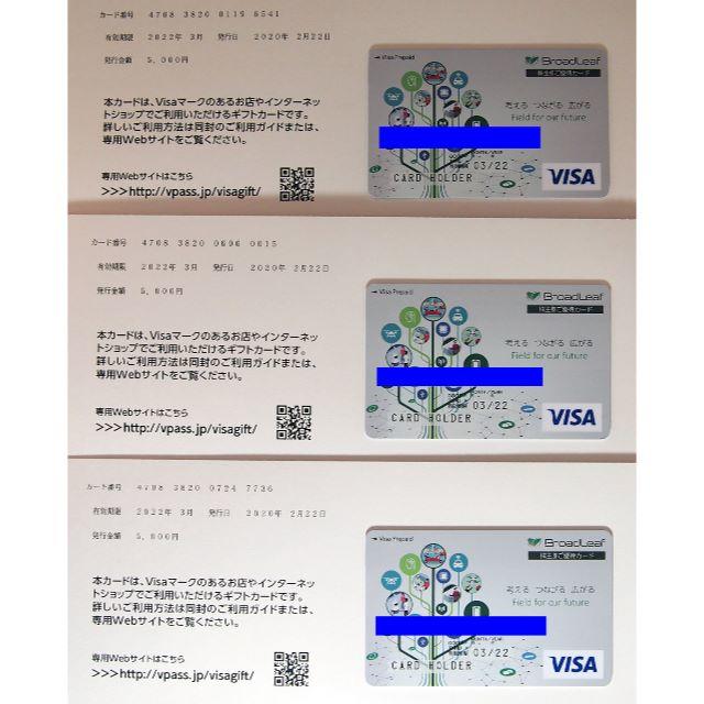 ブロードリーフ　株主優待(VISA)15,000円分