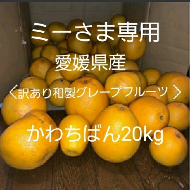 ミーさま専用。愛媛県産　訳あり　和製グレープフルーツかわちばん20kg 食品/飲料/酒の食品(フルーツ)の商品写真