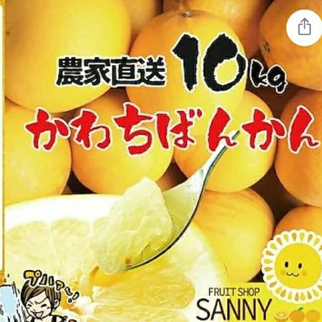 ミーさま専用。愛媛県産　訳あり　和製グレープフルーツかわちばん20kg 食品/飲料/酒の食品(フルーツ)の商品写真