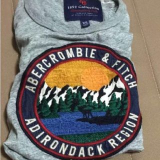 アバクロンビーアンドフィッチ(Abercrombie&Fitch)のアバクロTシャツ(Tシャツ/カットソー(半袖/袖なし))