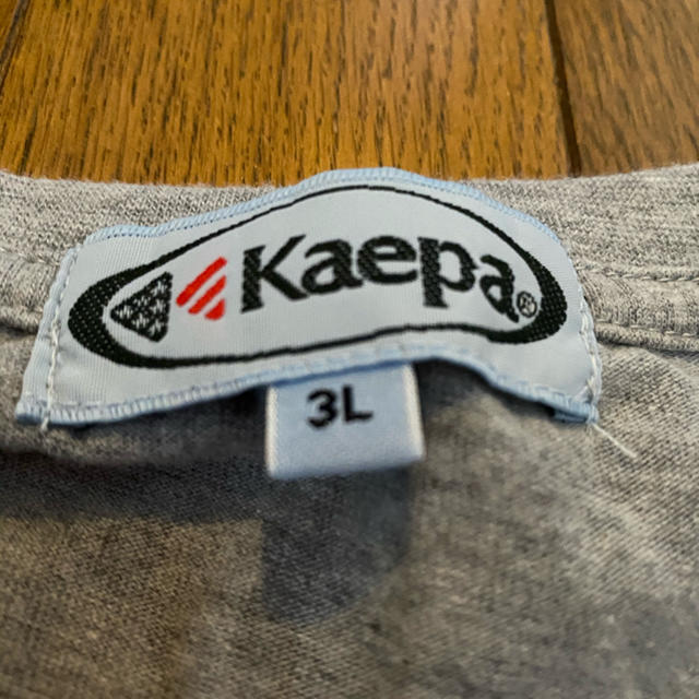 Kaepa(ケイパ)のメンズ大きいサイズ　kaepa 長袖Tシャツ メンズのトップス(Tシャツ/カットソー(七分/長袖))の商品写真