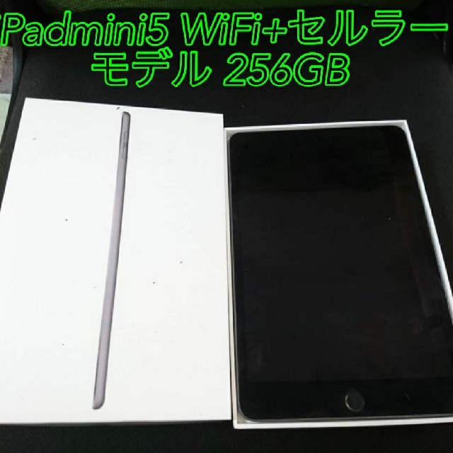 Apple - iPad mini5