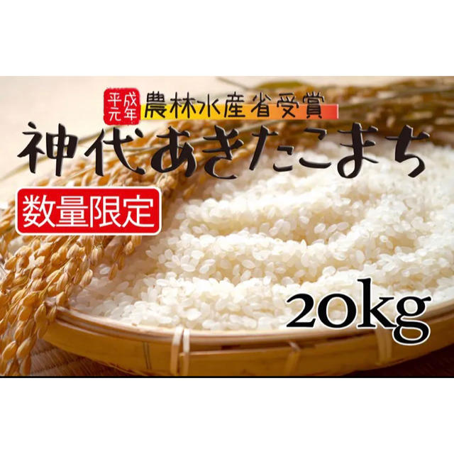 令和元年産 秋田県産あきたこまち米 新米:20kg★関東、東北、信越は送料無料米/穀物