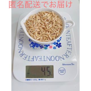 猫草の種 エン麦 45g(ペットフード)