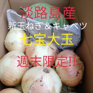 週末限定!!淡路島新玉ねぎ＆キャベツセット　玉葱　たまねぎ(野菜)