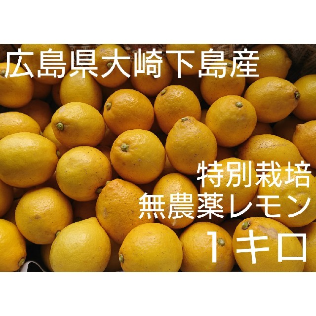 tokeiko様専用  広島県大崎下島産 特別栽培レモン １キロ 食品/飲料/酒の食品(フルーツ)の商品写真