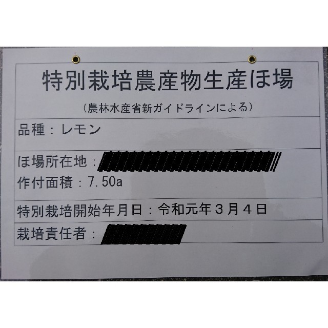 tokeiko様専用  広島県大崎下島産 特別栽培レモン １キロ 食品/飲料/酒の食品(フルーツ)の商品写真