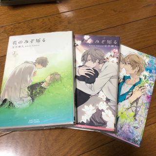 花のみぞ知る 1-3巻(ボーイズラブ(BL))