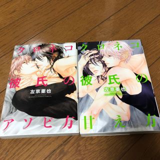 左京亜也 2冊(ボーイズラブ(BL))