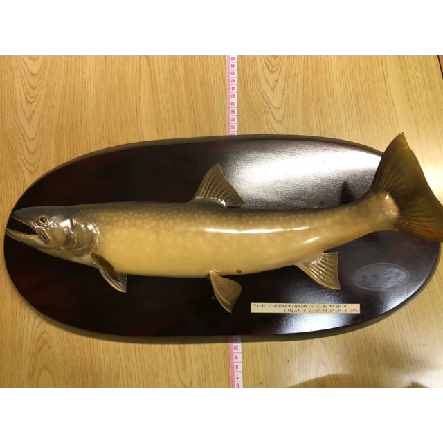 魚の剥製 by bera_giftwrap｜ラクマ 8体まとめての通販 新品HOT