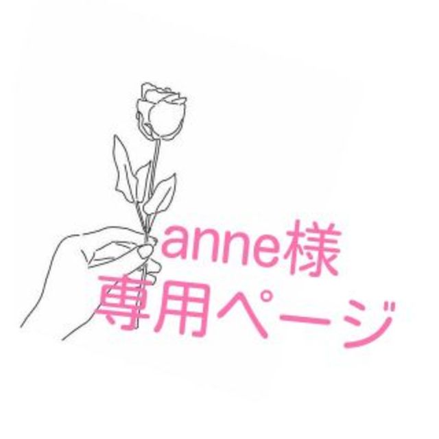 anne様専用ページ エンタメ/ホビーの本(洋書)の商品写真