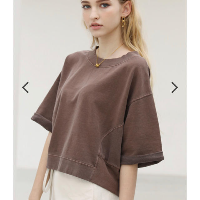 ALEXIA STAM(アリシアスタン)のShort Sleeve Sweatshirt Brown レディースのトップス(トレーナー/スウェット)の商品写真