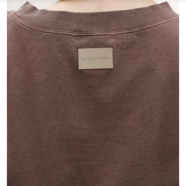 ALEXIA STAM(アリシアスタン)のShort Sleeve Sweatshirt Brown レディースのトップス(トレーナー/スウェット)の商品写真