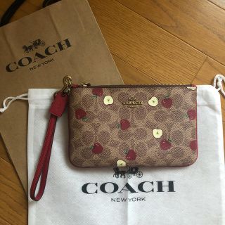 コーチ(COACH)のCOACH ポーチ 未使用(ポーチ)