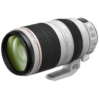 キヤノン(Canon)の【新品・未開封】EF100-400mm F4.5-5.6L IS II USM(レンズ(ズーム))