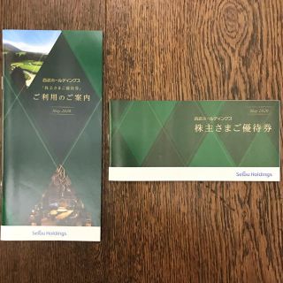 サイタマセイブライオンズ(埼玉西武ライオンズ)のduffymay様専用※西武ホールディングス☆株主優待2冊(その他)