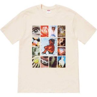 シュプリーム(Supreme)の停止中　新品 Supreme 19ss Original Sin Tシャツ(Tシャツ/カットソー(半袖/袖なし))