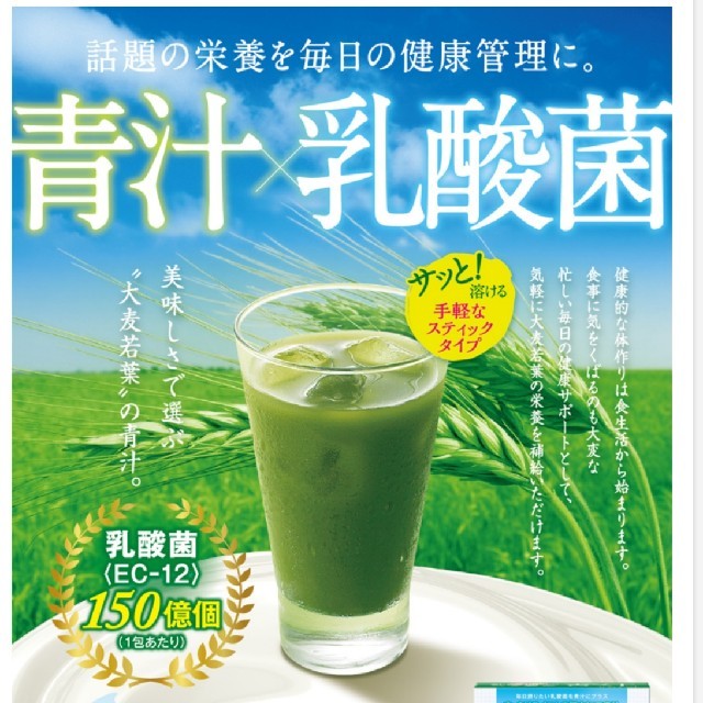 美味しい乳酸菌青汁 2箱セット 食品/飲料/酒の健康食品(青汁/ケール加工食品)の商品写真