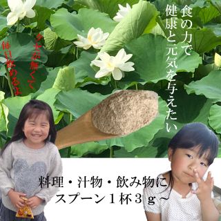 レンコン農家自作レンコンパウダー80g 送料無料(野菜)