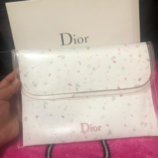 ディオール(Dior)の Diorポーチ(ポーチ)