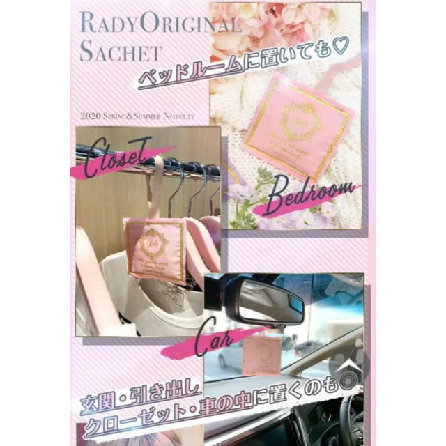 Rady(レディー)のrady ノベルティー　新品未開封 レディースのファッション小物(その他)の商品写真