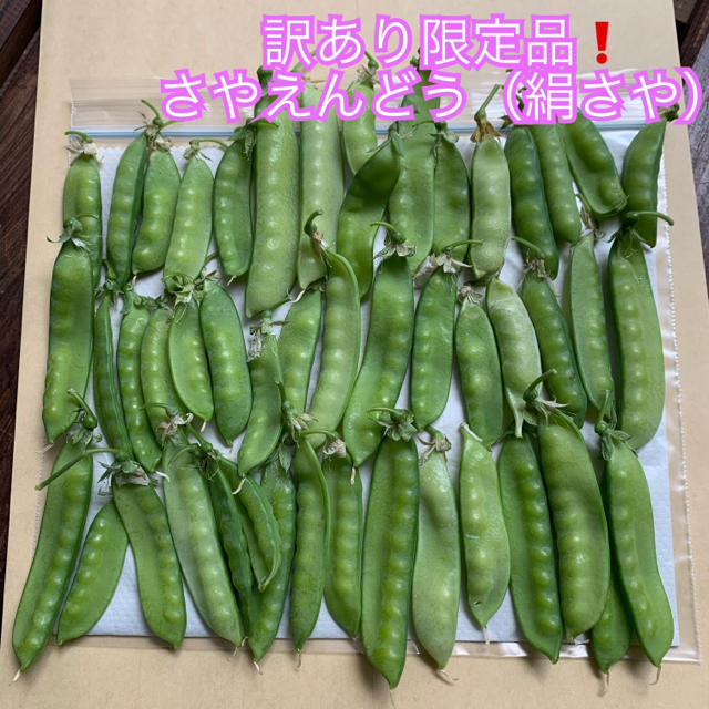 訳あり限定❗️最終出品❗️採れたてさやえんどう（絹さや）＊無農薬野菜＊ネコポス＊ 食品/飲料/酒の食品(野菜)の商品写真