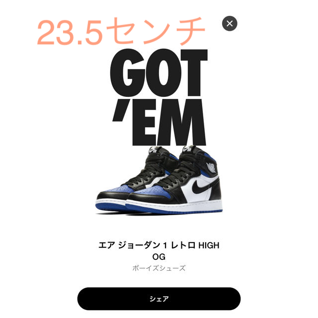 ジュニア NIKE AIR JORDAN1 Royal Toe 23.5センチ