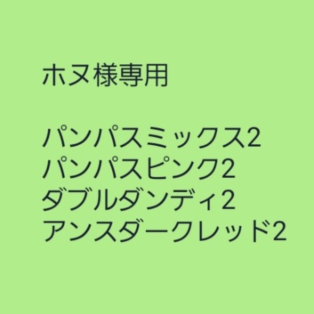 ホヌ様専用【パンパスグラス】ミックスカラー　種子30粒 ハンドメイドのフラワー/ガーデン(その他)の商品写真