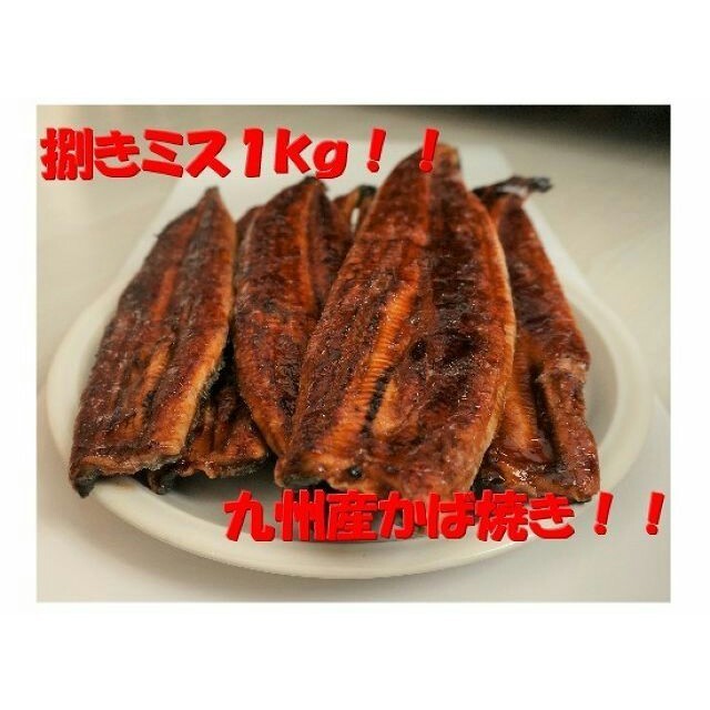 九州産うなぎ蒲焼１㎏（捌きミス・冷凍便）食品