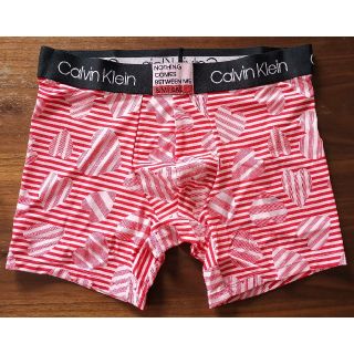 カルバンクライン(Calvin Klein)のカルバンクライン　新品　メンズ　ボクサーパンツ(レッドストライプS)(ボクサーパンツ)