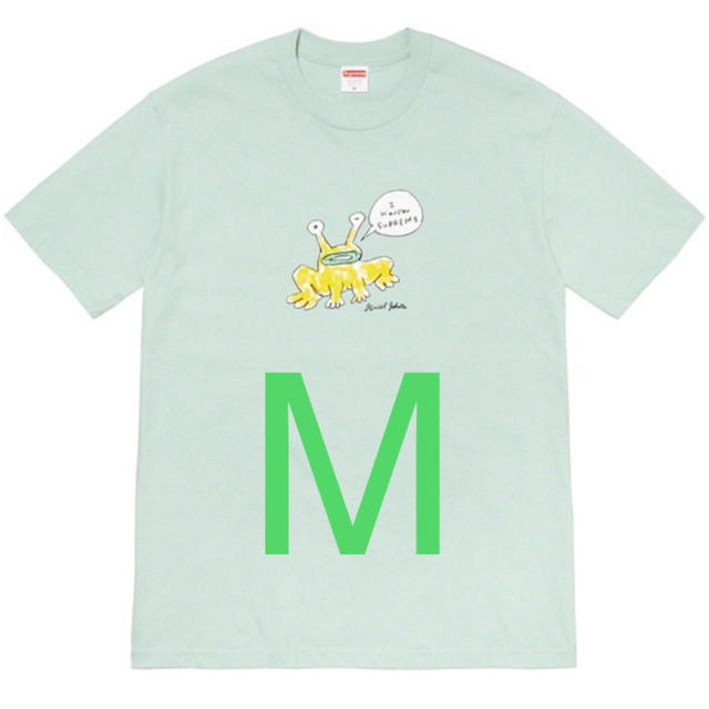 supreme frog tee M