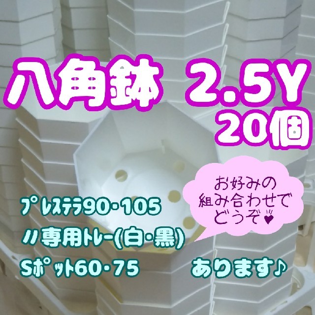 プラ八角鉢 カネヤ【2.5Y】20個 多肉植物 ハンドメイドのフラワー/ガーデン(プランター)の商品写真