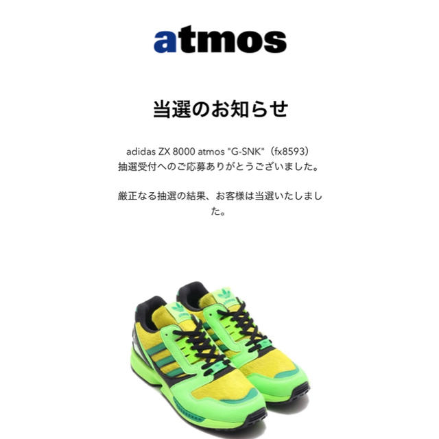 靴/シューズadidas ZX8000  atmos当選品