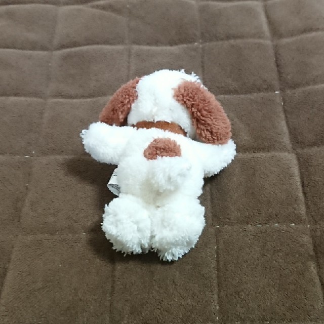 SNOOPY(スヌーピー)のぬいぐるみ スヌーピー 3点セット エンタメ/ホビーのおもちゃ/ぬいぐるみ(ぬいぐるみ)の商品写真