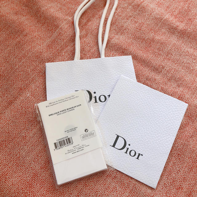 Dior(ディオール)のDior ディオール チャーム  ショップ袋付き レディースのファッション小物(キーホルダー)の商品写真