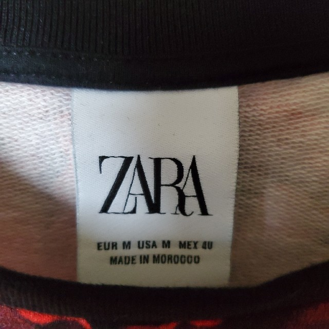 ZARA(ザラ)のZARA MAN 花柄 ボタニカル スウェット M 40 メンズ メンズのトップス(スウェット)の商品写真