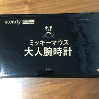 ミッキーマウス(ミッキーマウス)のsteady5月号特別付録(その他)