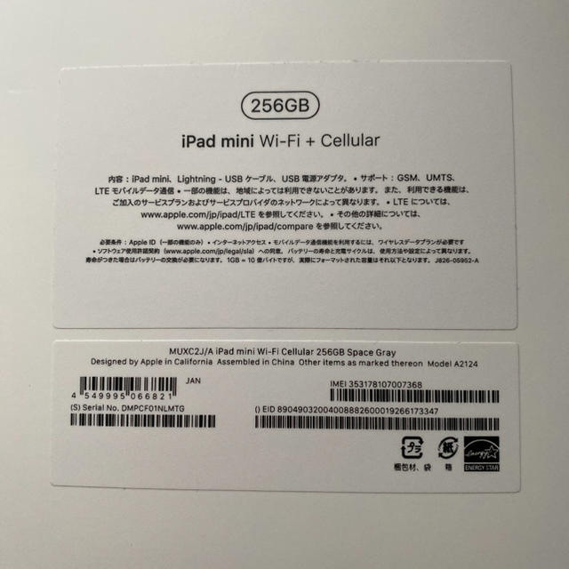 iPad mini 5 Wi-Fi＋Cellularモデル 256GB