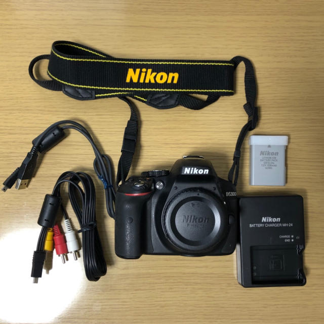 Nikon D5300 ダブルズームキット その他付属品有 説明書付