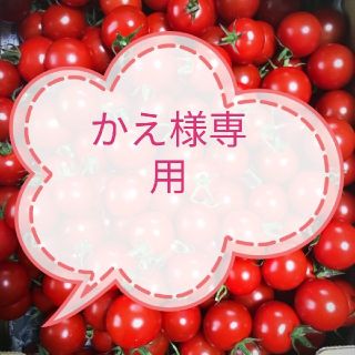 かえ様専用(野菜)