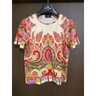 エトロ(ETRO)のETRO エトロ　総柄　クルーネック　Tシャツ(Tシャツ(半袖/袖なし))