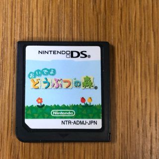 ニンテンドーDS(ニンテンドーDS)のおいでよどうぶつの森 DS(家庭用ゲームソフト)