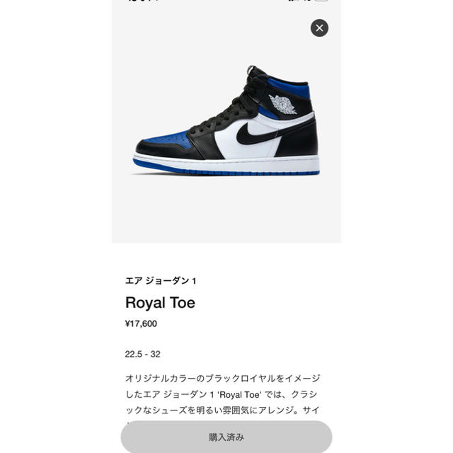 28.5cm NIKE AIR JORDAN 1 OG ROYAL TOE