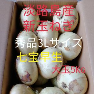 七宝◎秀品大玉5Kg◎淡路島　新玉ねぎ　玉葱　たまねぎ(野菜)