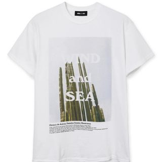 WIND AND SEA  WDS OAXACA Tee   Mサイズ(Tシャツ/カットソー(半袖/袖なし))